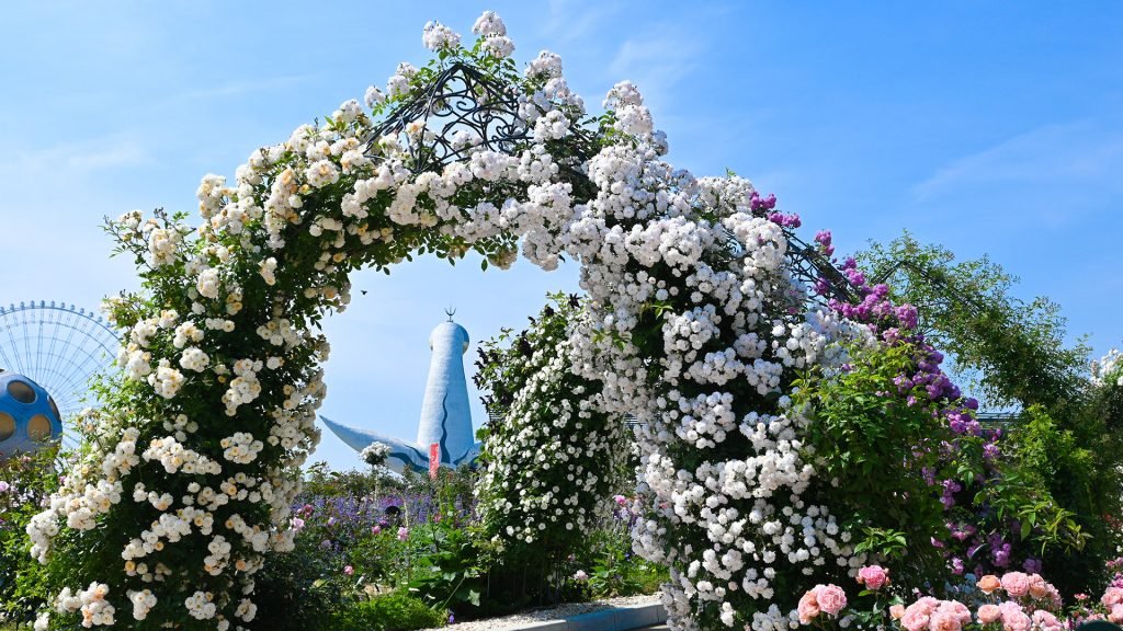 🌸 오사카부립 꽃의 문화원(오사카후리츠 하나노분카엔) 이미지 8